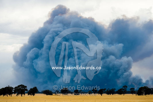 The billowing plume of smoke of a grassfire rises into the sky above farmland. Edenhope, Victoria, Australia.