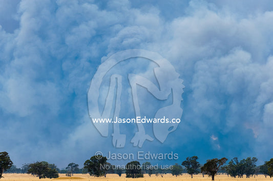 The billowing plume of smoke of a grassfire rises into the sky above farmland. Edenhope, Victoria, Australia.