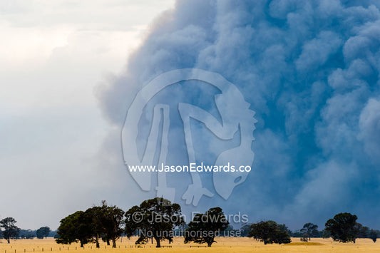The billowing plume of smoke of a grassfire rises into the sky above farmland. Edenhope, Victoria, Australia.