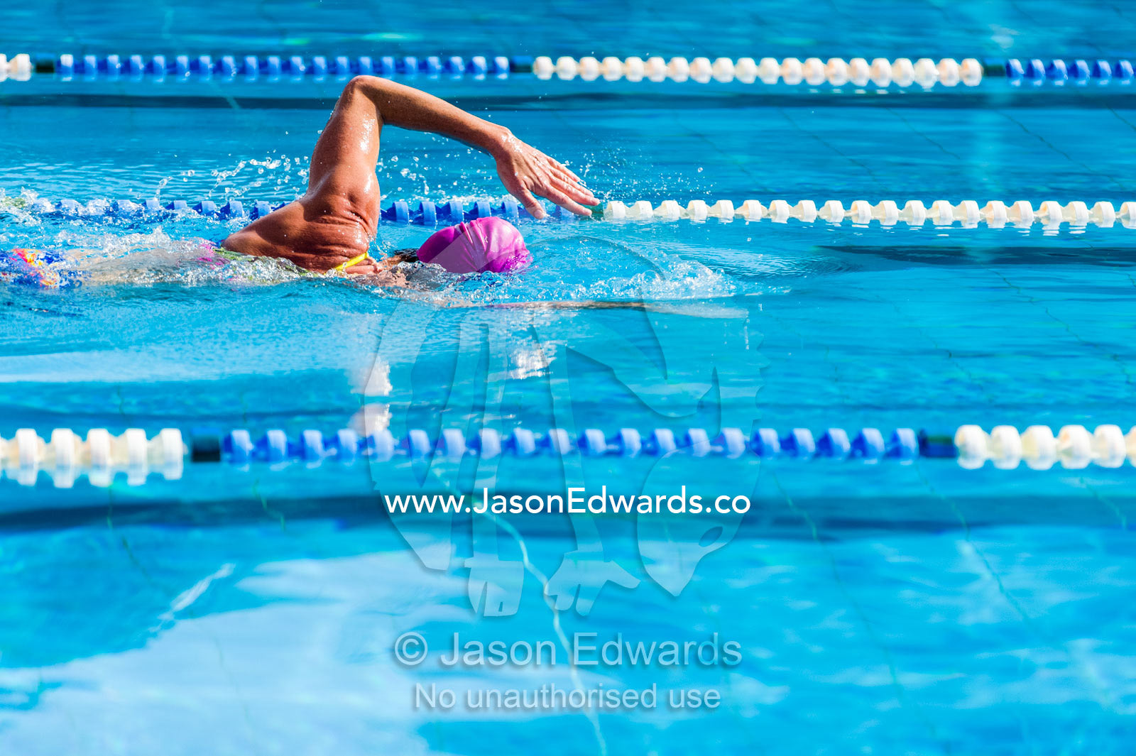 A woman training in a swimming pool doing laps. Fitzroy, Melbourne, Victoria, Australia.