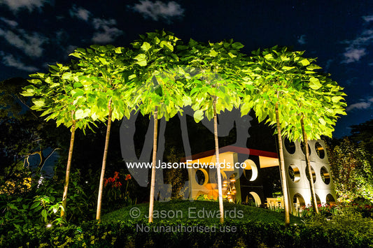 An architecturally designed garden setting with pruned trees and spotlights at a garden show. Melbourne International Flower and Garden Show, Carlton Gardens, Carlton, Melbourne, Victoria, Australia.