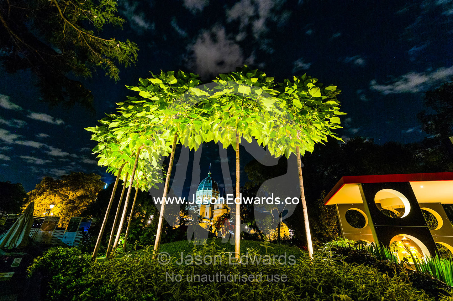 An architecturally designed garden setting with pruned trees and spotlights at a garden show. Melbourne International Flower and Garden Show, Carlton Gardens, Carlton, Melbourne, Victoria, Australia.
