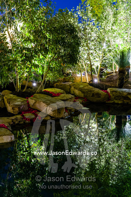 Spotlights illuminate trees reflected in an architecturally designed garden pond at a garden show. Melbourne International Flower and Garden Show, Carlton Gardens, Carlton, Melbourne, Victoria, Australia.