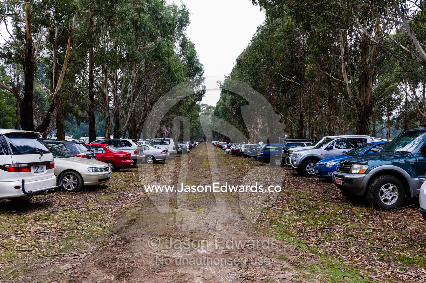 Cars parked in the bush for a scouts mud bash event. Mafeking Rover Park, Strathbogie Ranges, Caveat, Victoria, Australia.