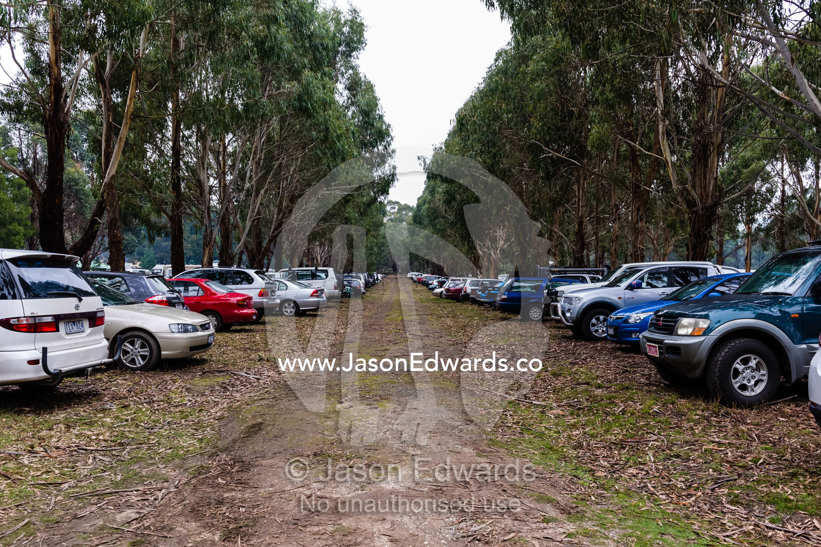 Cars parked in the bush for a scouts mud bash event. Mafeking Rover Park, Strathbogie Ranges, Caveat, Victoria, Australia.