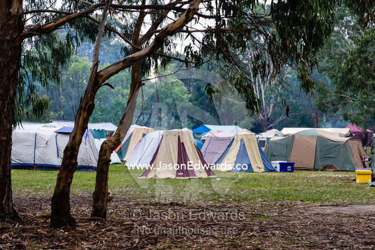 Tents camped in the bush for a scouts mudbash event. Mafeking Rover Park, Strathbogie Ranges, Caveat, Victoria, Australia.