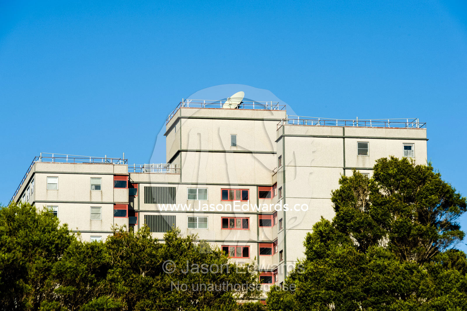 A low income housing estate rises above the tree line of a park. Collingwood, Melbourne, Victoria, Australia.