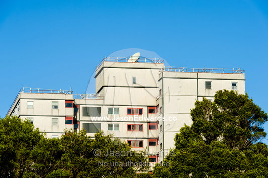 A low income housing estate rises above the tree line of a park. Collingwood, Melbourne, Victoria, Australia.