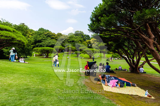 People and families relaxing in a traditional Japanese garden on a summer day. Shinjuku Gyoen National Garden, Shinjuku, Shibuya, Tokyo, Japan.