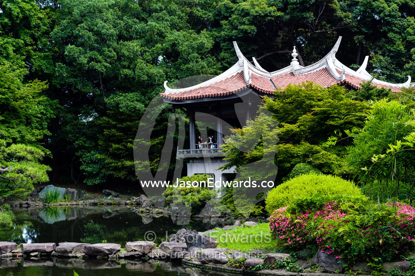 A tea house in a traditional Japanese garden. Shinjuku Gyoen National Garden, Shinjuku, Shibuya, Tokyo, Japan.