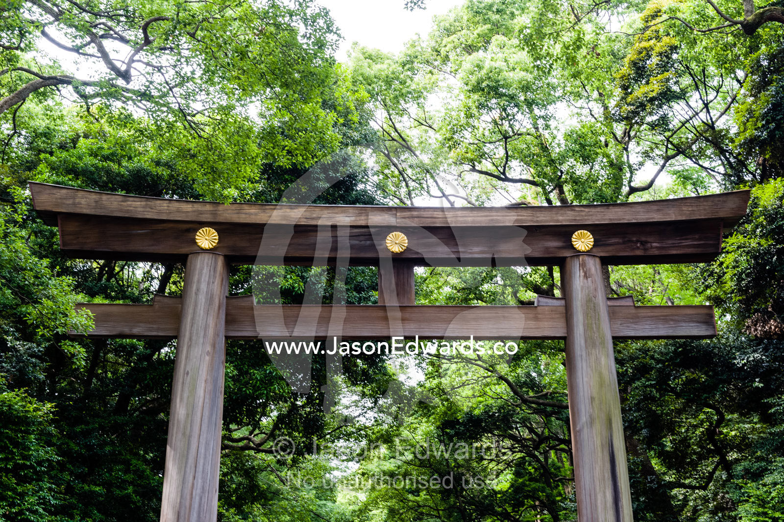 A torii is a traditional Japanese gate found at the entrance of or within a Shinto shrine, where it symbolically marks the transition from the profane to the sacred. Meiji Shrine, Shinto Shrine, Shibuya, Tokyo, Japan.