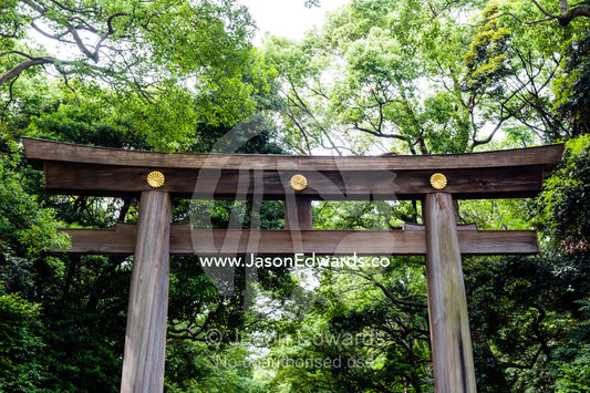 A torii is a traditional Japanese gate found at the entrance of or within a Shinto shrine, where it symbolically marks the transition from the profane to the sacred. Meiji Shrine, Shinto Shrine, Shibuya, Tokyo, Japan.