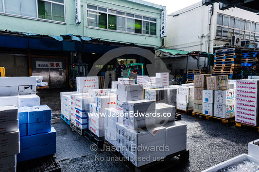 Boxes of fresh seafood for sale in a fish market. Tsukiji Market, Tsukiji, Chuo, Tokyo.