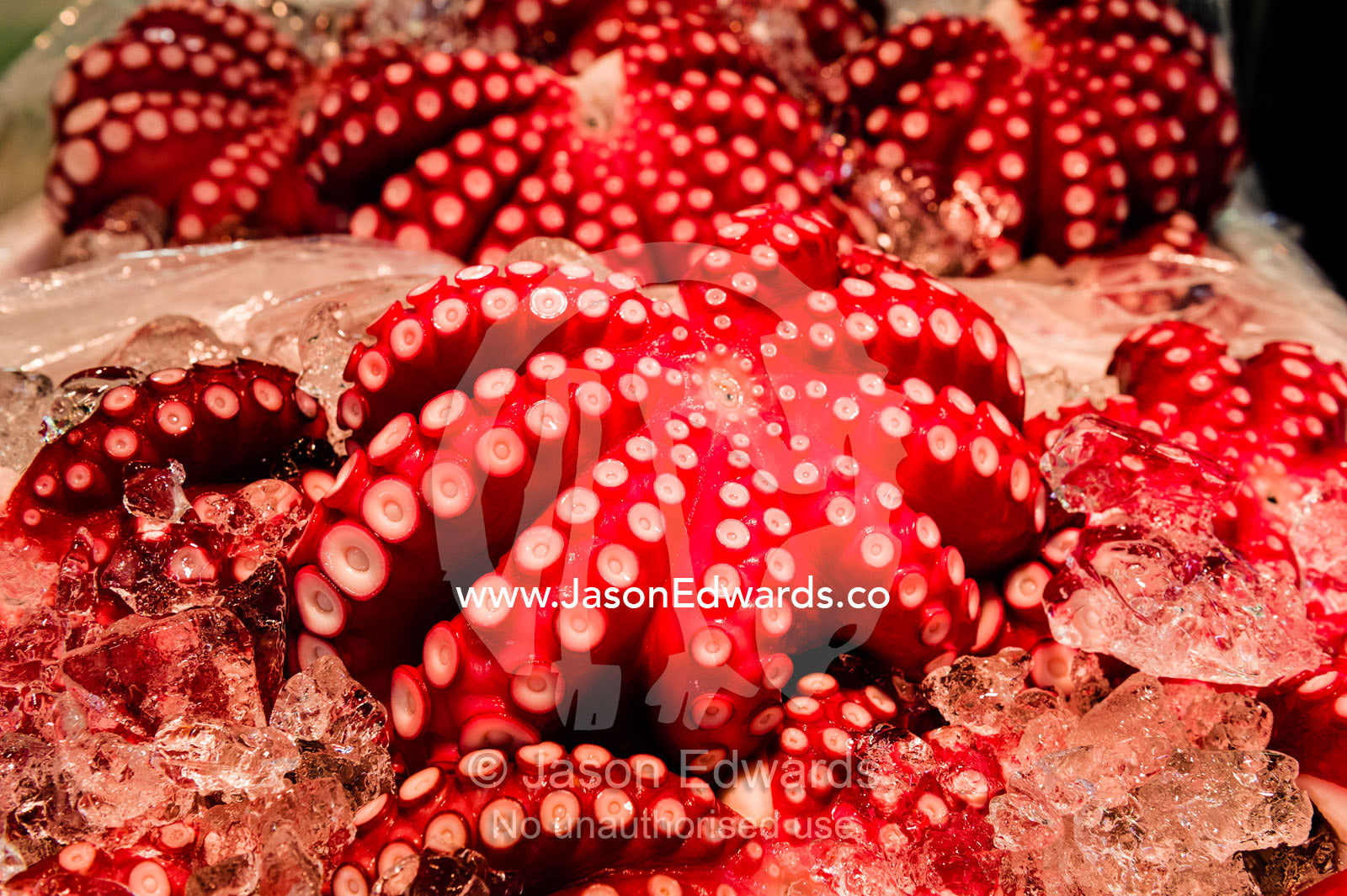 The bright pink suckers of octopus on ice for sale in a fish market. Tsukiji Market, Tsukiji, Chuo, Tokyo.
