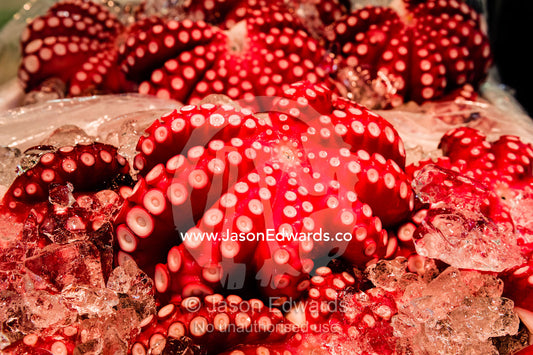 The bright pink suckers of octopus on ice for sale in a fish market. Tsukiji Market, Tsukiji, Chuo, Tokyo.