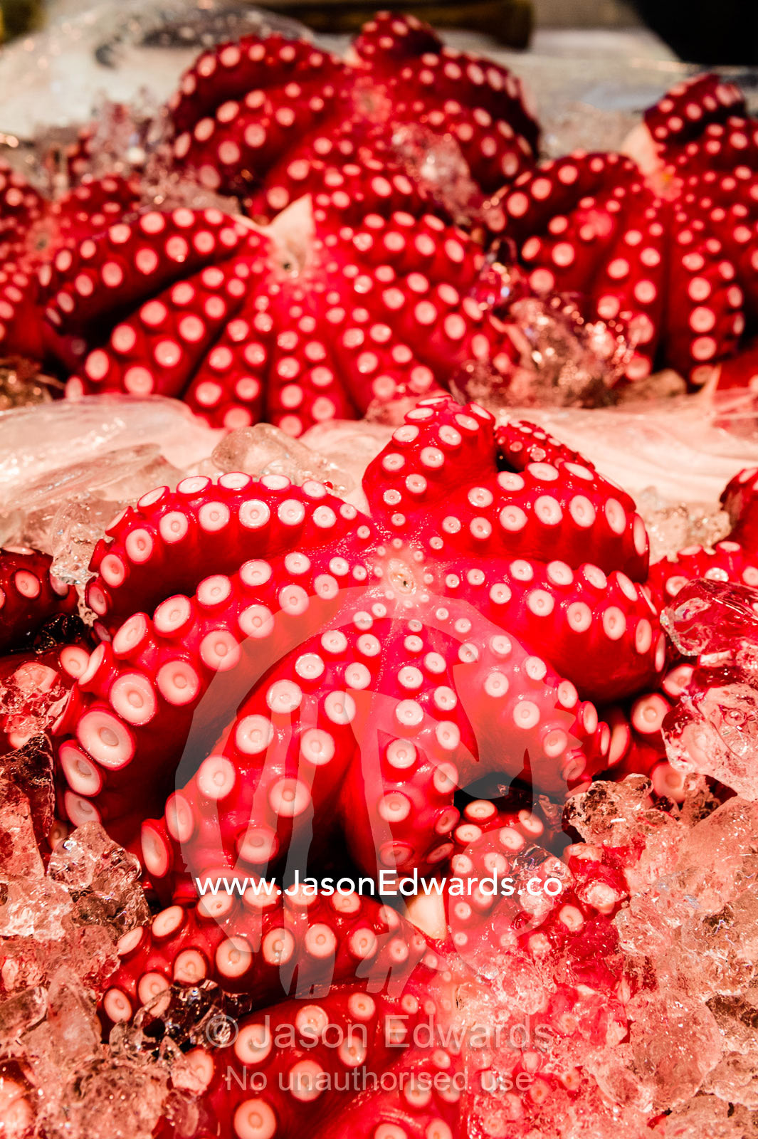 The bright pink suckers of octopus on ice for sale in a fish market. Tsukiji Market, Tsukiji, Chuo, Tokyo.
