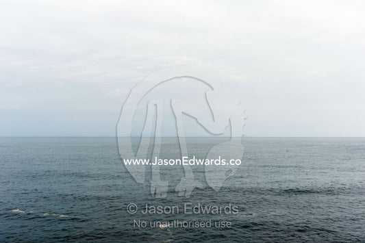 A featureless sky over a cold grey ocean. Pacific Ocean, Shizuoka Prefecture, Izu Peninsula, Japan.