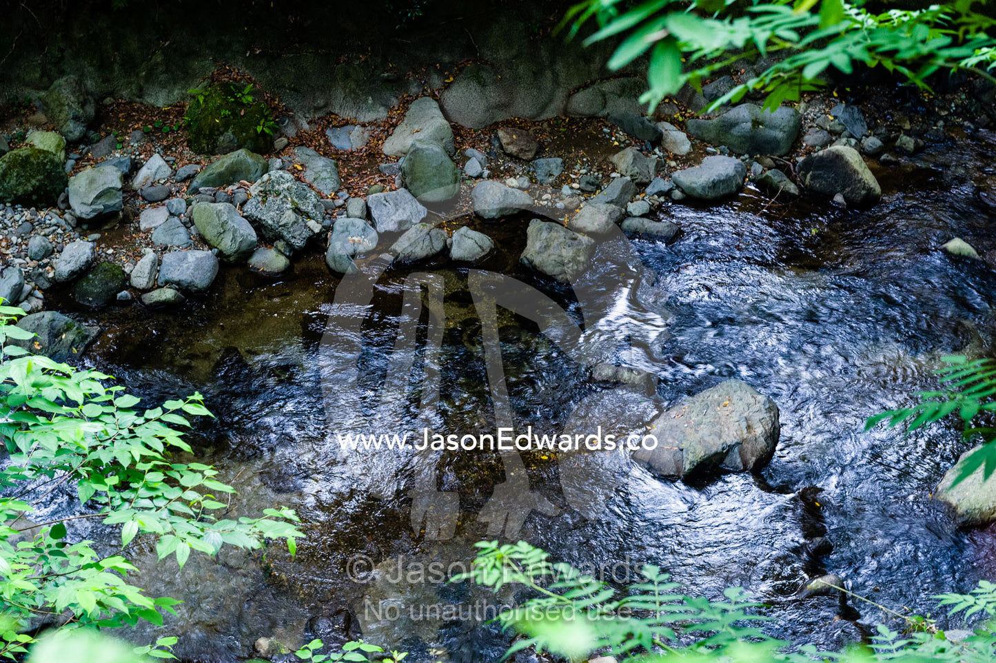 A forest stream flows from an outdoor hot spring onsen for bathing known as a Rotenburo. Unryu Onsen, Izu Peninsula, Shizuoka Prefecture, Japan.