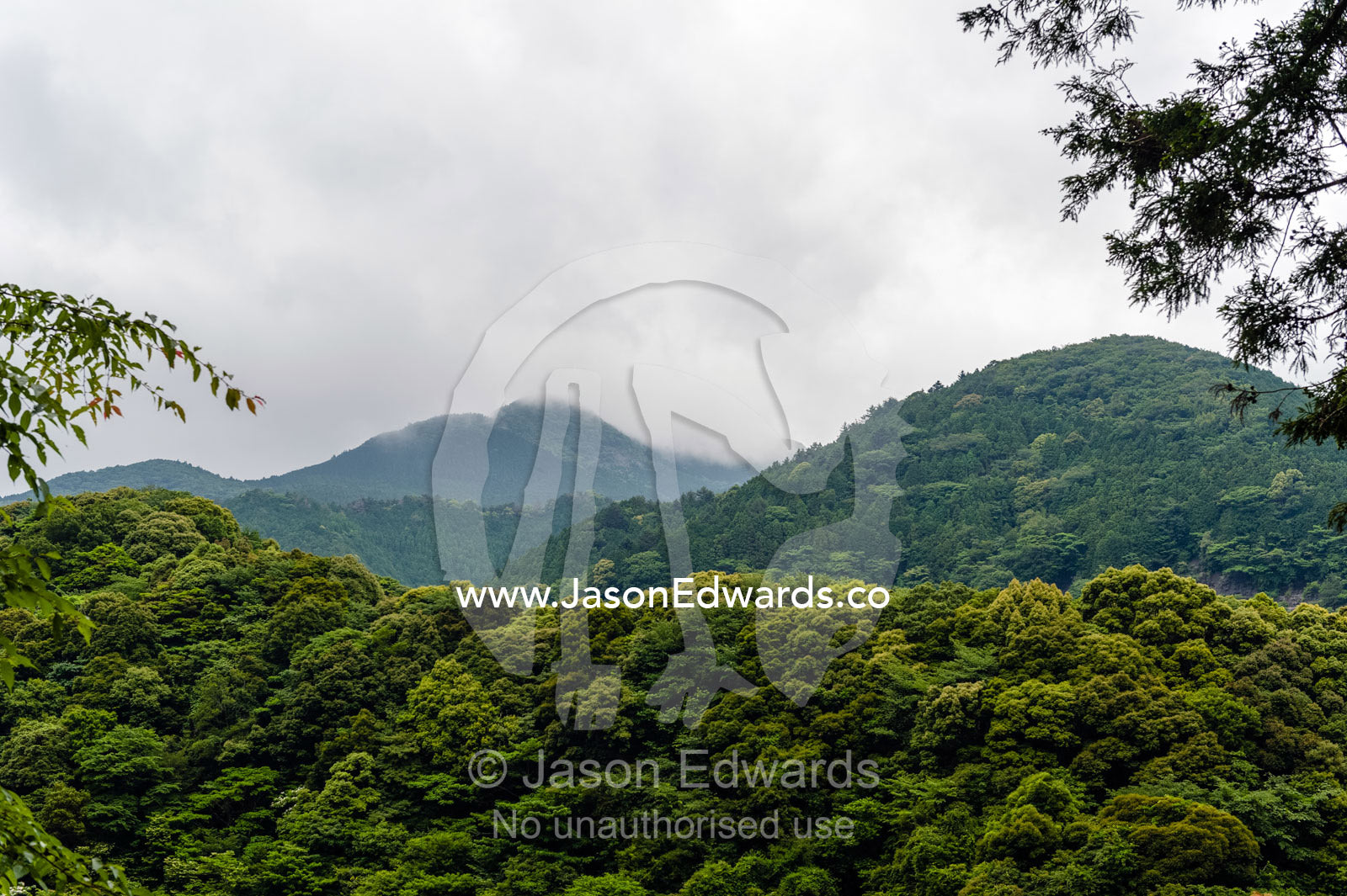 Heavily forested mountains and valleys on a coastal peninsula. Unryu Onsen, Izu Peninsula, Shizuoka Prefecture, Japan.