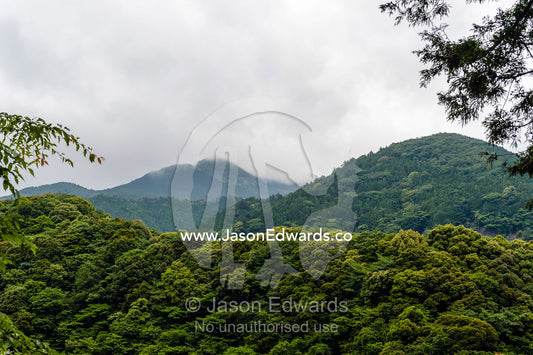 Heavily forested mountains and valleys on a coastal peninsula. Unryu Onsen, Izu Peninsula, Shizuoka Prefecture, Japan.