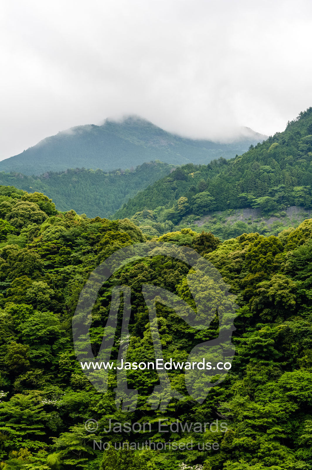 Heavily forested mountains and valleys on a coastal peninsula. Unryu Onsen, Izu Peninsula, Shizuoka Prefecture, Japan.
