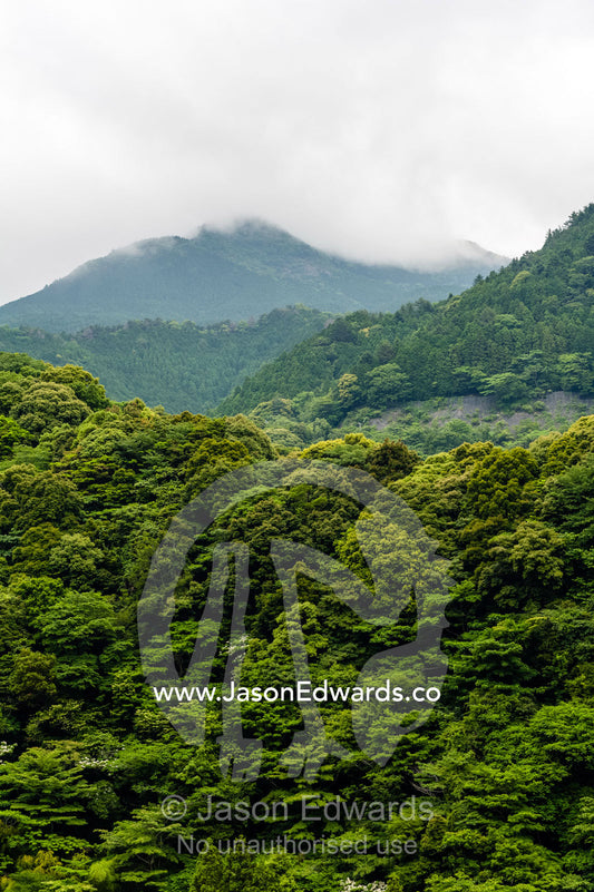 Heavily forested mountains and valleys on a coastal peninsula. Unryu Onsen, Izu Peninsula, Shizuoka Prefecture, Japan.