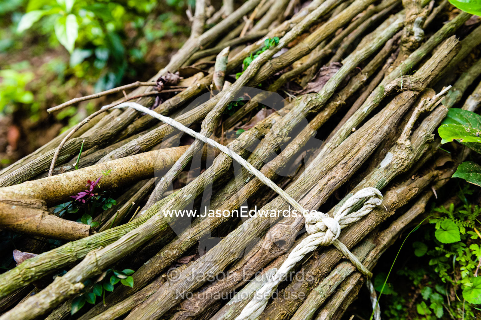 A bundle of sticks tied together to use as stakes on a farm. Unryu Onsen, Izu Peninsula, Shizuoka Prefecture, Japan.