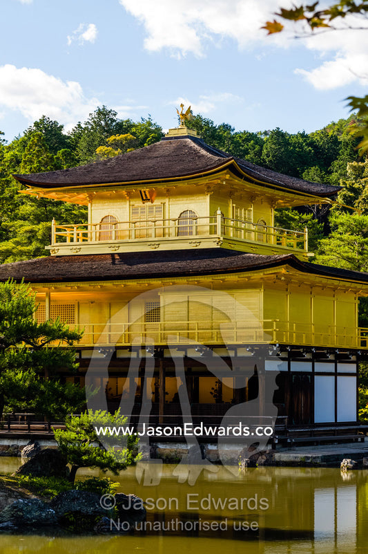 The Temple of the Golden Pavilion on the shore of an ornamental lake. Temple of the Golden Pavilion, Kinkaku-ji, Kyoto, Japan.