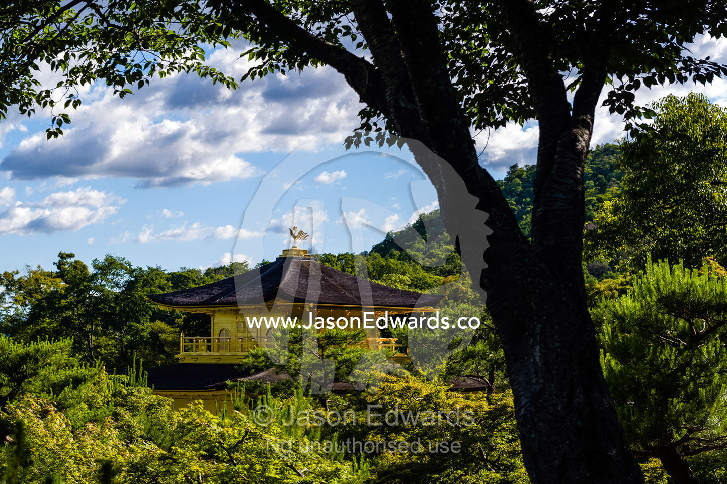 The Temple of the Golden Pavilion on the shore of an ornamental lake. Temple of the Golden Pavilion, Kinkaku-ji, Kyoto, Japan.