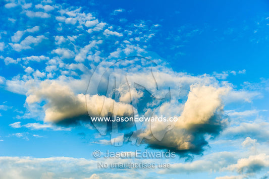 Sunset touches a cluster of ragged clouds in a blue sky. Arashiyama Bamboo Grove, Arashiyama District, Kyoto, Japan.