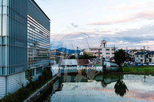 A small rice paddy next to an office building in Japan. Arashiyama Bamboo Grove, Arashiyama District, Kyoto, Japan.