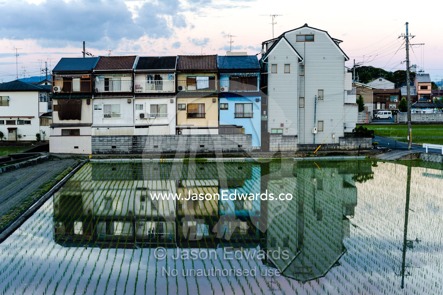 Houses reflected in the still surface of a rice paddy in a Japanese suburb. Arashiyama Bamboo Grove, Arashiyama District, Kyoto, Japan.