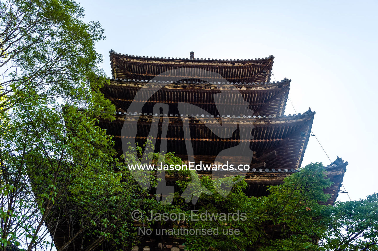 The timber tiers of the ancient Yasaka Pagoda rise above a tree canopy in Kyoto. Yasaka Pagoda, Hokanji Temple, Higashiyama, Kyoto, Japan.
