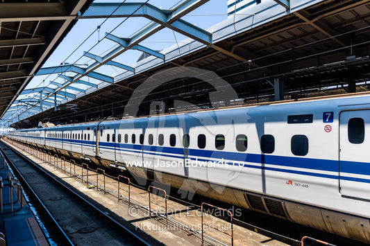 Train carriages lined against a railway platform. Shinjuku Station, Shinjuku, Tokyo, Japan.