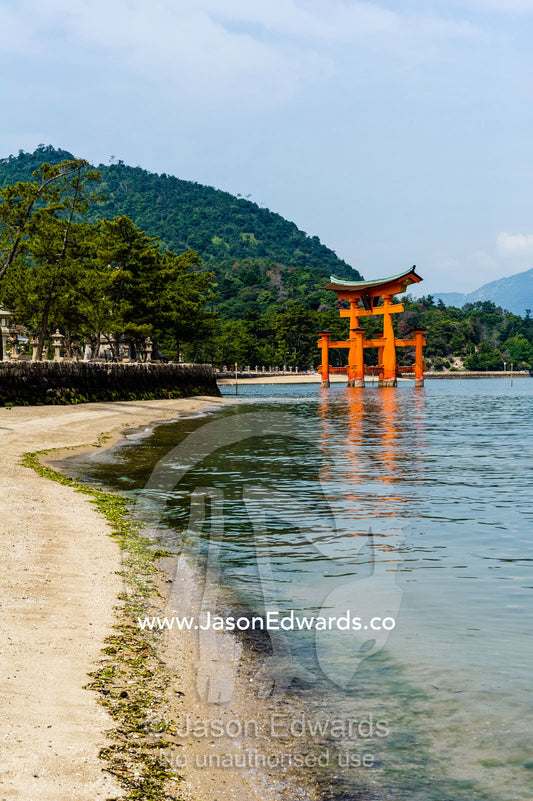 The famous floating torii gate at Itsukushima Shrine is a Ryōbu-style torii. Itsukushima Shrine, Miyajima, Itsukushima Island, Inland Sea of Japan, Hiroshima Bay, Japan.