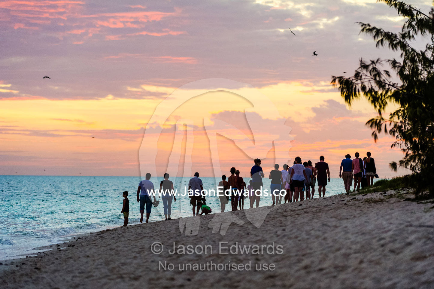 A group of people watching a Vulnerable Green Turtle laying eggs at sunset. Shark Bay, Heron Island, Great Barrier Reef, Queensland, Australia.