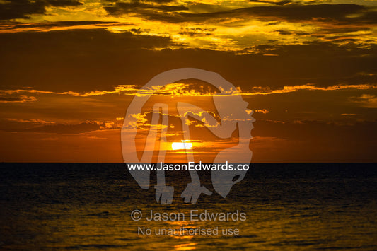 Sunset over a tropical ocean and the Great Barrier Reef. Research Beach, Heron Island, Great Barrier Reef, Queensland, Australia.