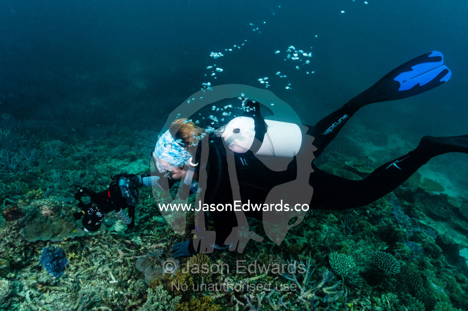 A scuba diver photographing a coral reef. Heron Island, Great Barrier Reef, Queensland, Australia.