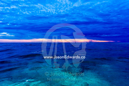 A coral reef illuminated through the ocean surface at night. Heron Island, Great Barrier Reef, Queensland, Australia.