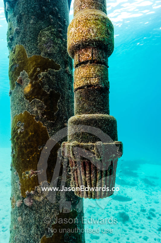 The water intake for a boat and ferry jetty. Heron Island Harbour, Heron Island, Great Barrier Reef, Queensland, Australia.