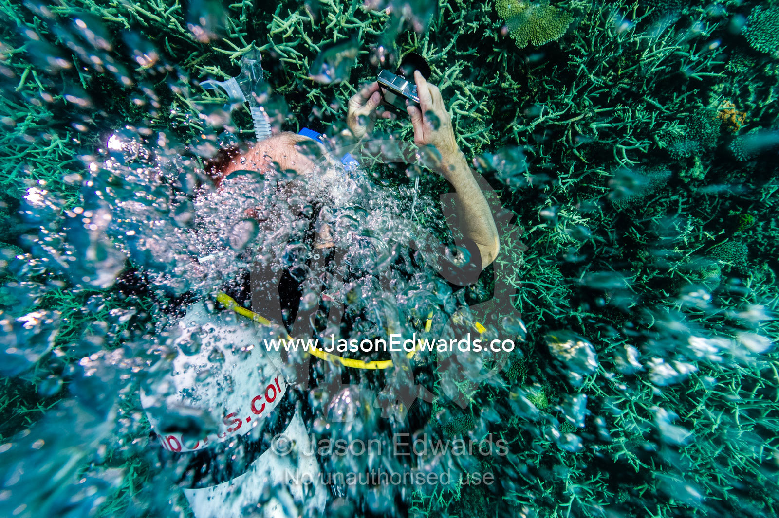 A scuba diver photographs a coral reef through a stream of bubbles. Heron Island, Great Barrier Reef, Queensland, Australia.