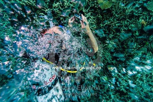 A scuba diver photographs a coral reef through a stream of bubbles. Heron Island, Great Barrier Reef, Queensland, Australia.