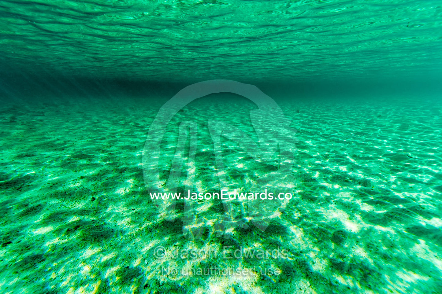 The shallow turquoise waters and white sandy ocean floor near a tropical island. Wreck Beach, Heron Island, Great Barrier Reef, Queensland, Australia.