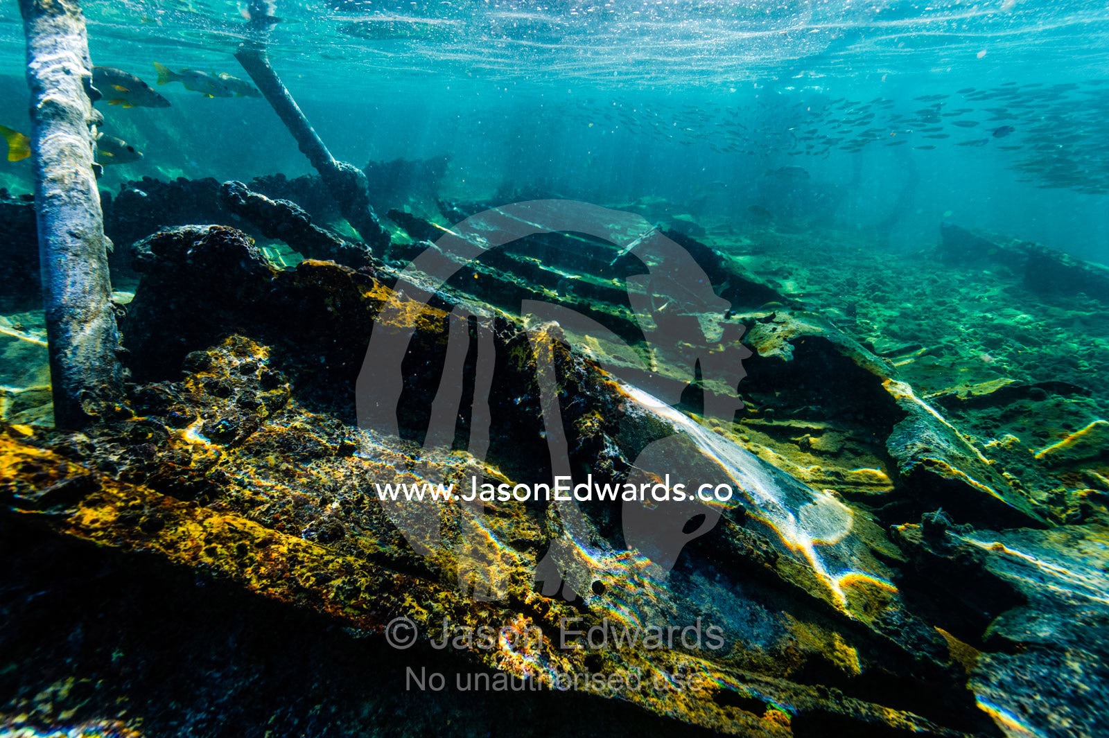 The shipwreck of the HMAS Protector a large flat-iron gunboat trapped on a coral reef. Wreck Beach, Heron Island, Great Barrier Reef, Queensland, Australia.