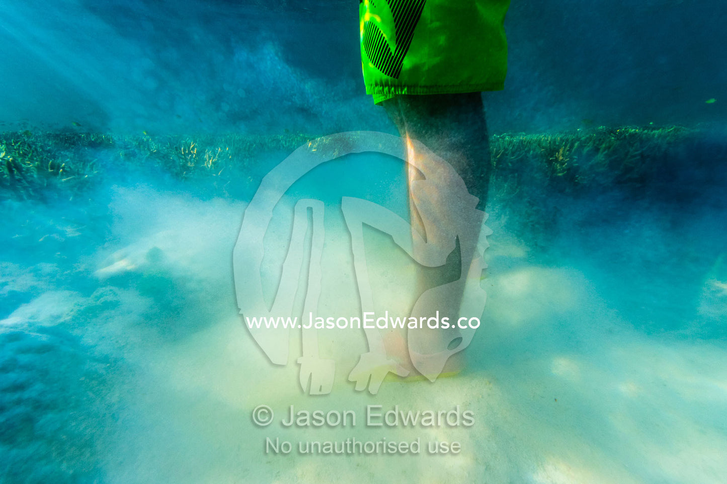 A snorkeler stirs up sand with his flippers near a coral reef. Wreck Beach, Heron Island, Great Barrier Reef, Queensland, Australia.