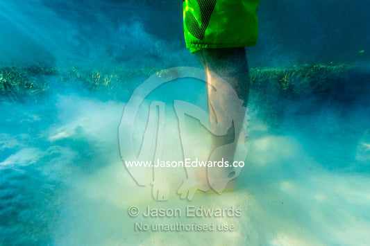 A snorkeler stirs up sand with his flippers near a coral reef. Wreck Beach, Heron Island, Great Barrier Reef, Queensland, Australia.