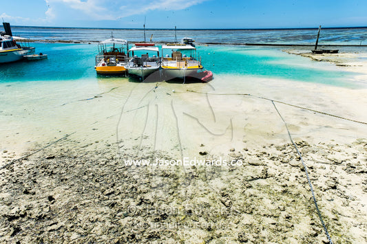 Dive boats resting on the sandy ocean floor at low tide. Heron Island Harbour, Heron Island, Great Barrier Reef, Queensland, Australia.