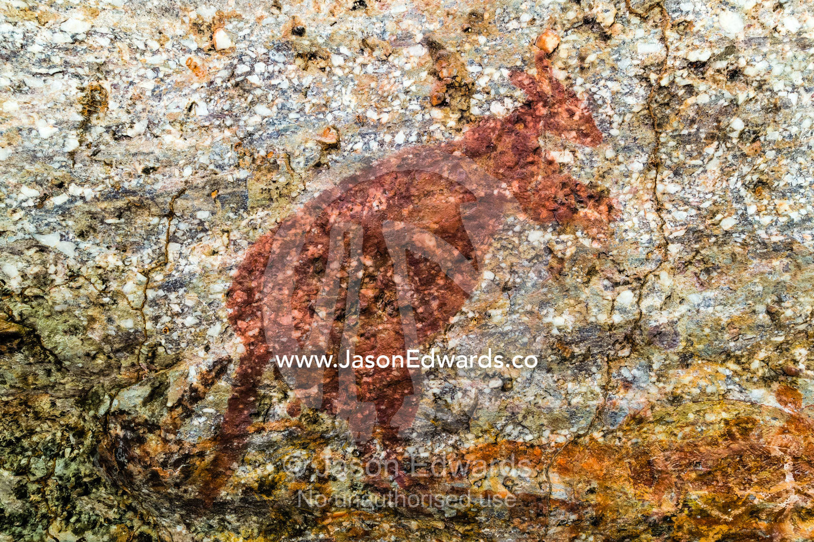 An Aboriginal rock painting art incline gallery featuring a kangaroo. Burrunggui, Nourlangie Rock, Arnhem Land, Kakadu National Park, Northern Territory, Australia.