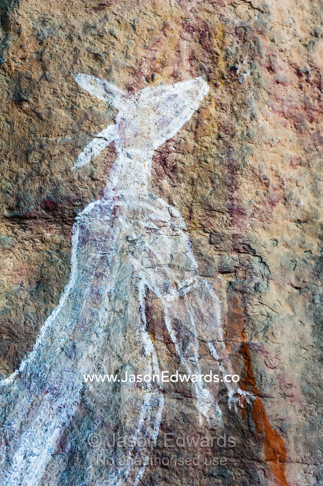 An Aboriginal rock painting art gallery featuring a kangaroo. Burrunggui, Nourlangie Rock, Arnhem Land, Kakadu National Park, Northern Territory, Australia.