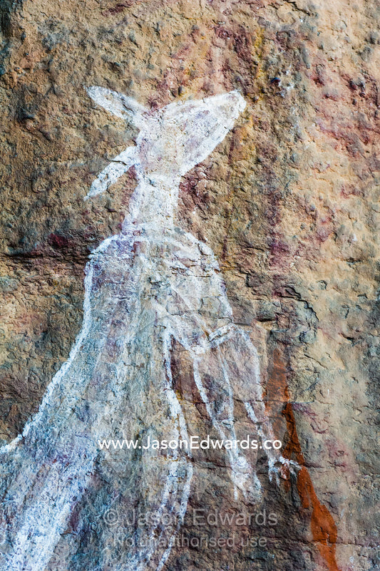 An Aboriginal rock painting art gallery featuring a kangaroo. Burrunggui, Nourlangie Rock, Arnhem Land, Kakadu National Park, Northern Territory, Australia.